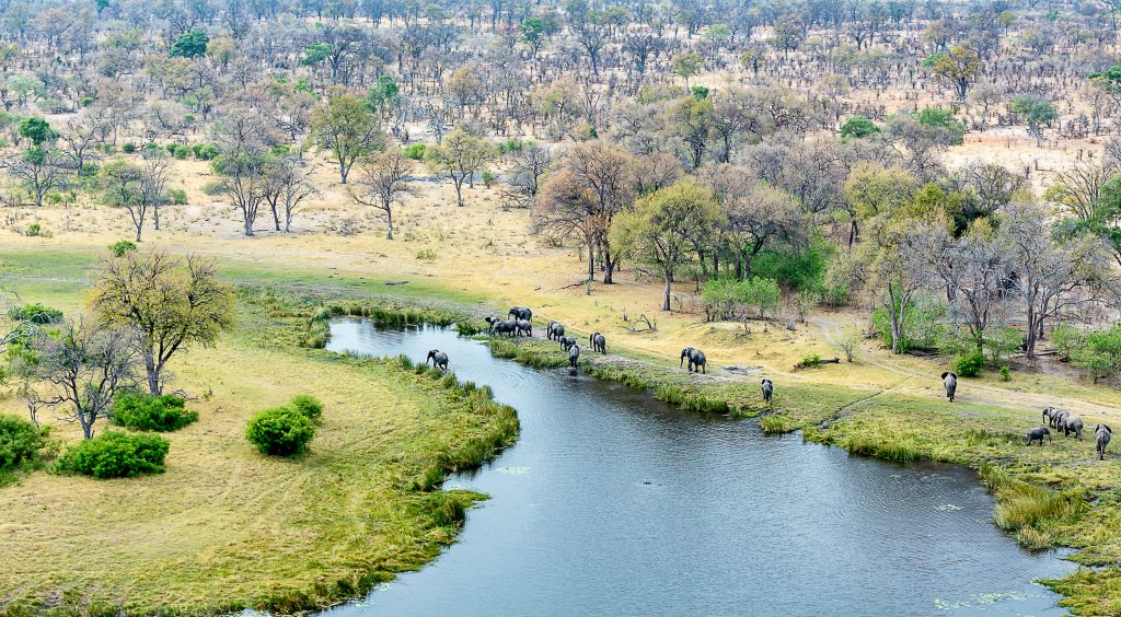 Helicopter view of elephants on the shores at Kwando Lagoon Camp in Botswana