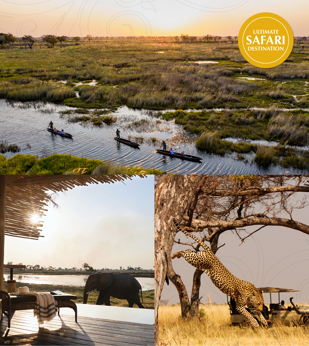 A montage of Botswana safari featuring three destinations, the Okavango Delta, Kalahari and Victoria Falls.