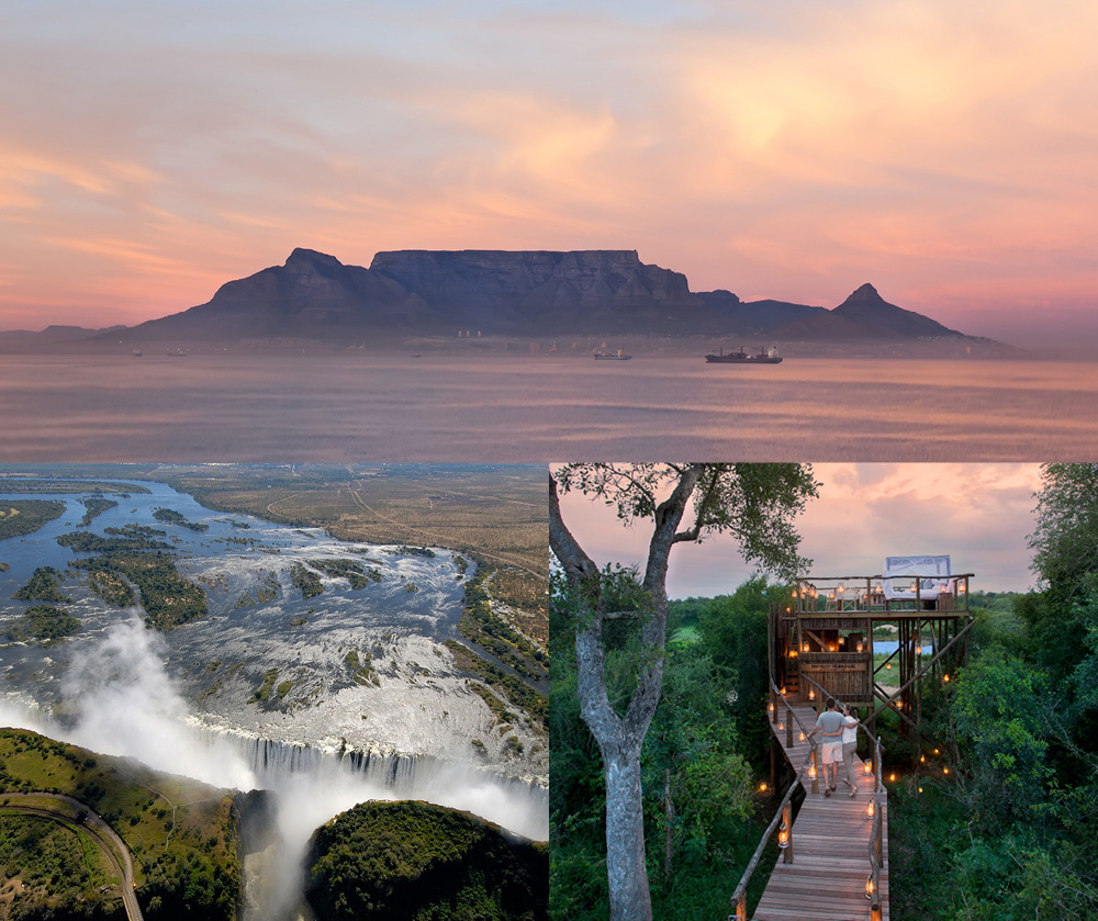 Safari honeymoon in Cape Town, South Africa and Vic Falls